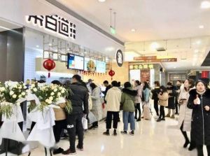 青岛开云体育下载  加盟费是多少？